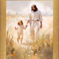 Peace in Christ