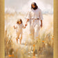 Peace in Christ