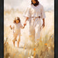 Peace in Christ