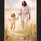Peace in Christ