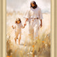 Peace in Christ