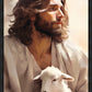 The Good Shepherd