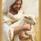 Shepherd of My Soul