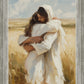 Arms of Mercy