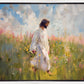 The Handiwork of God