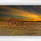 Handcart at Sunset