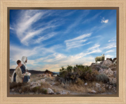 Training the Young Shepherd