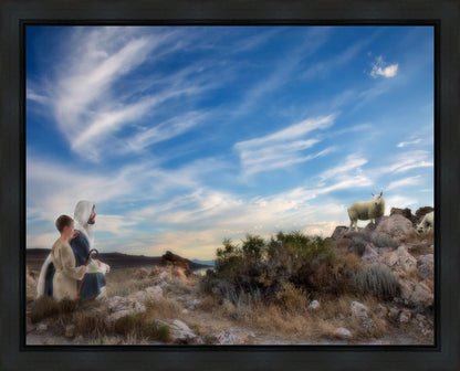 Training the Young Shepherd