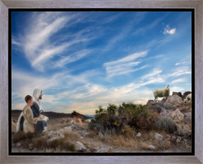 Training the Young Shepherd