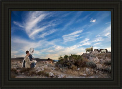 Training the Young Shepherd