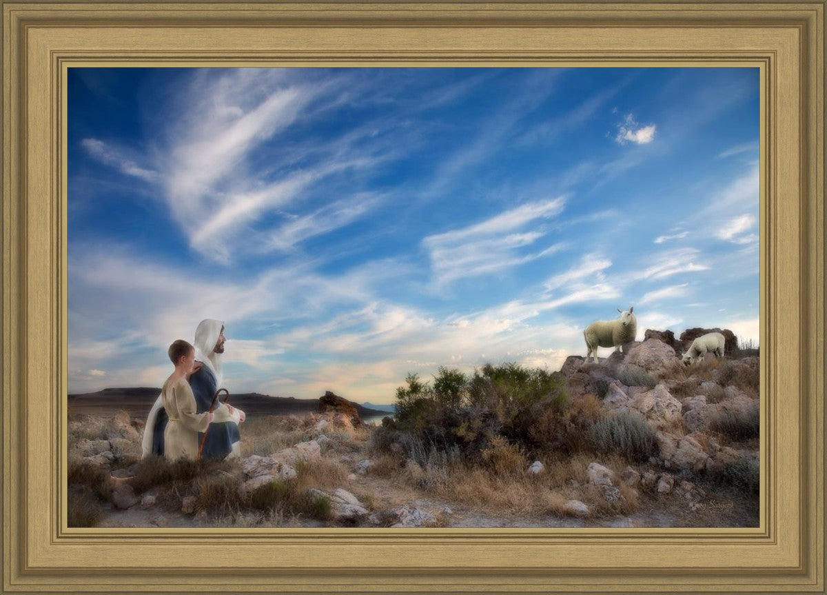 Training the Young Shepherd