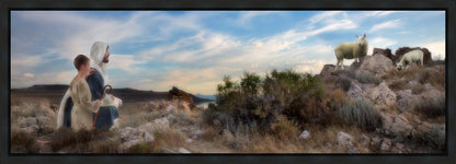 Training the Young Shepherd