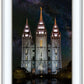 Salt Lake Temple Milky Way Vertical
