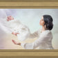 The Gift