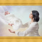 The Gift
