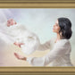 The Gift