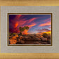 Moab Morning