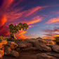 Moab Morning