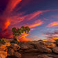 Moab Morning