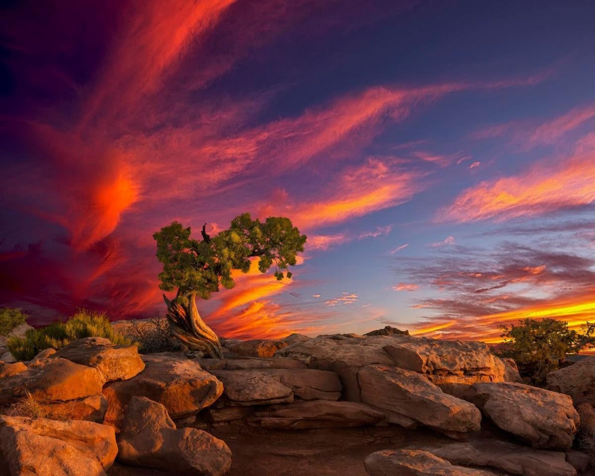 Moab Morning Gallery Wrap