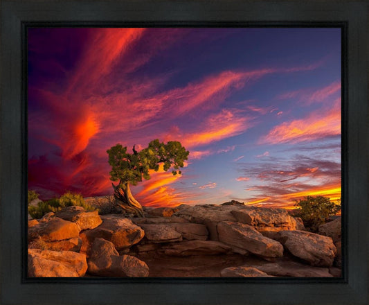 Moab Morning Gallery Wrap