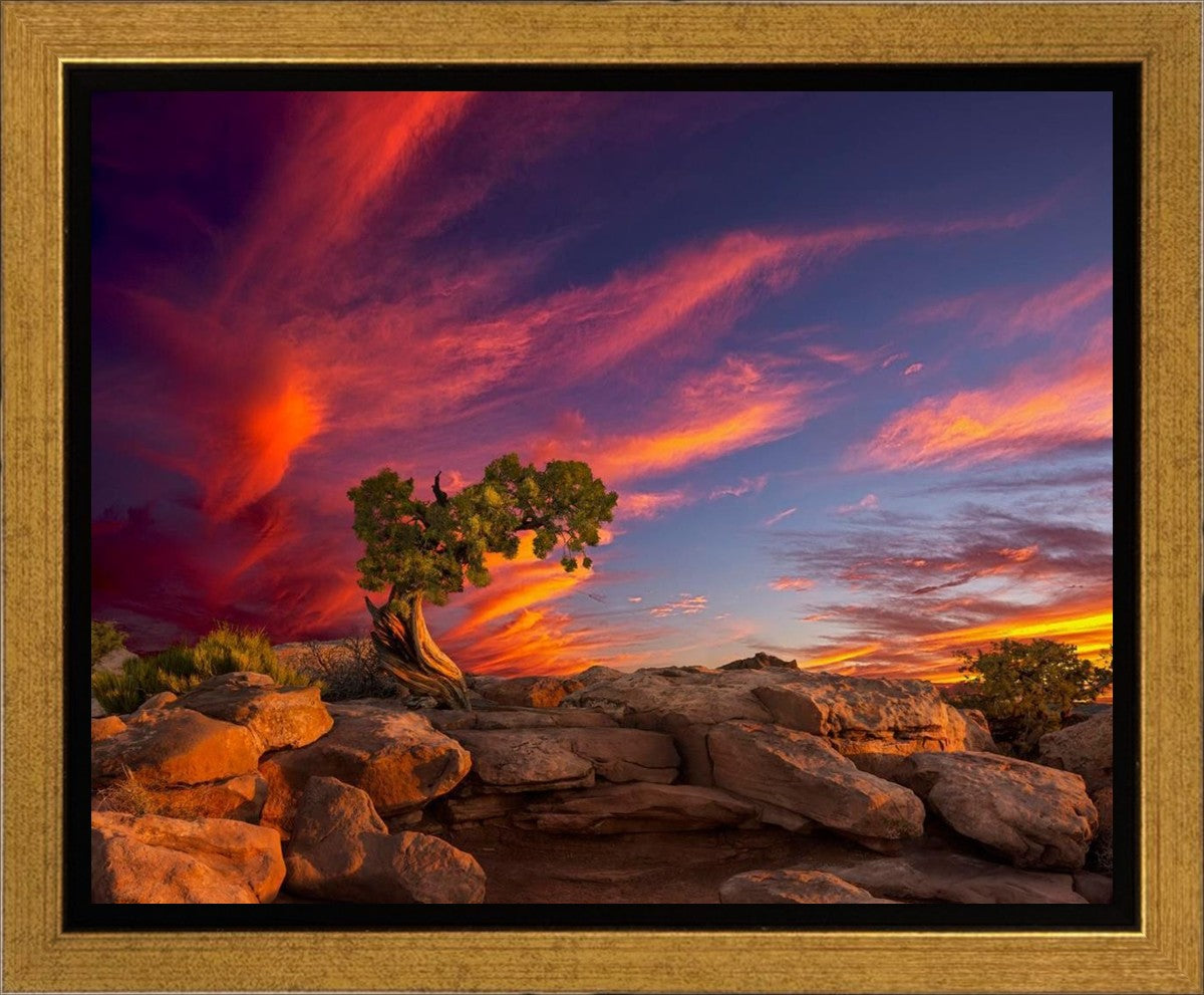 Moab Morning Gallery Wrap
