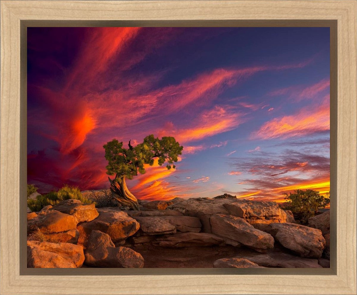 Moab Morning Gallery Wrap