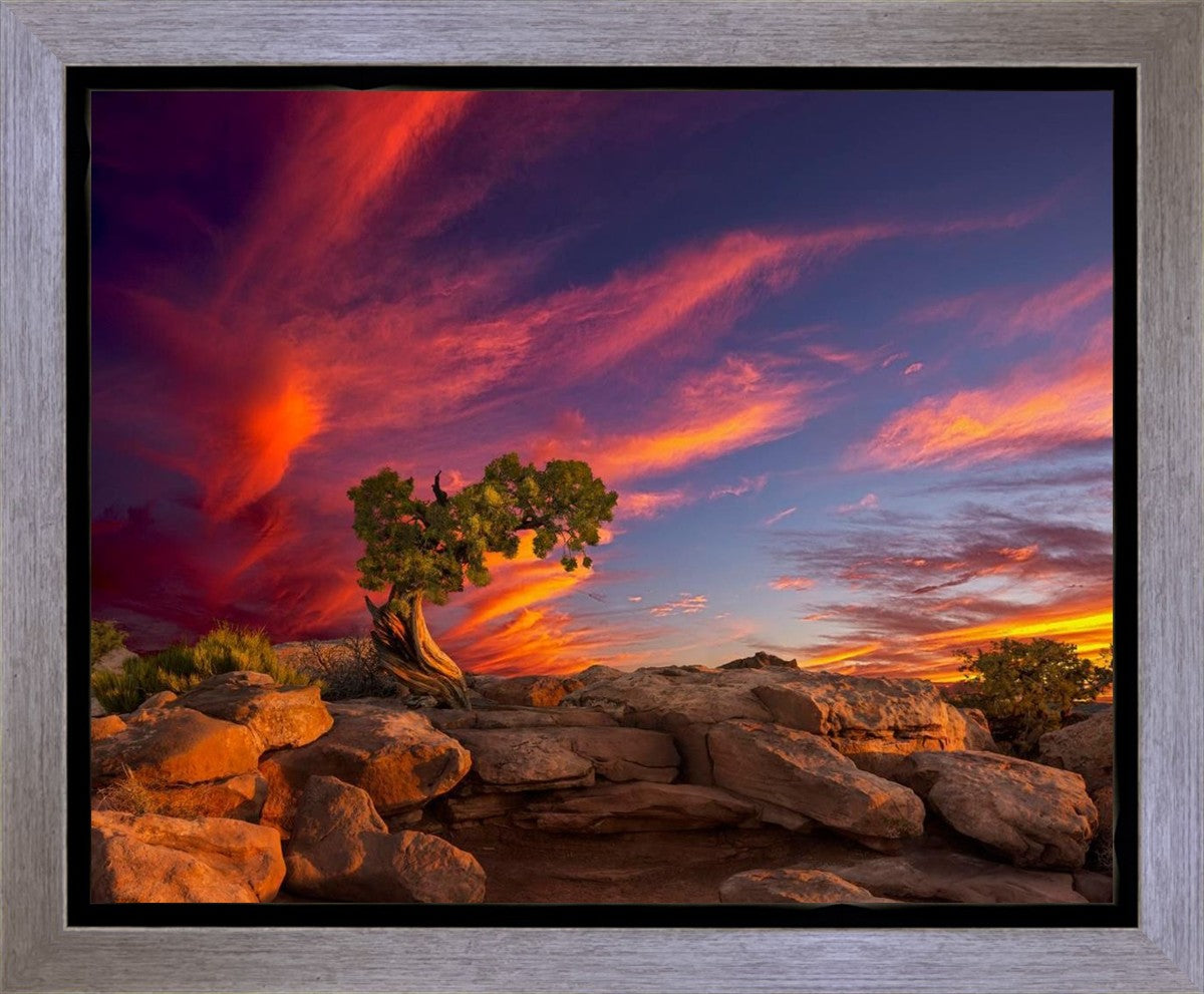 Moab Morning Gallery Wrap