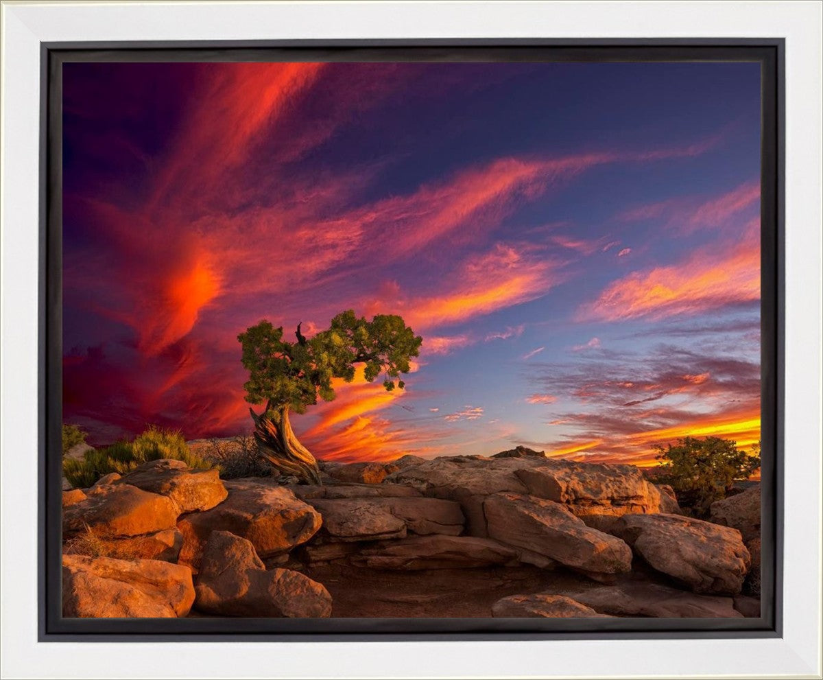 Moab Morning Gallery Wrap