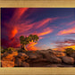 Moab Morning
