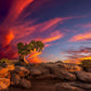 Moab Morning