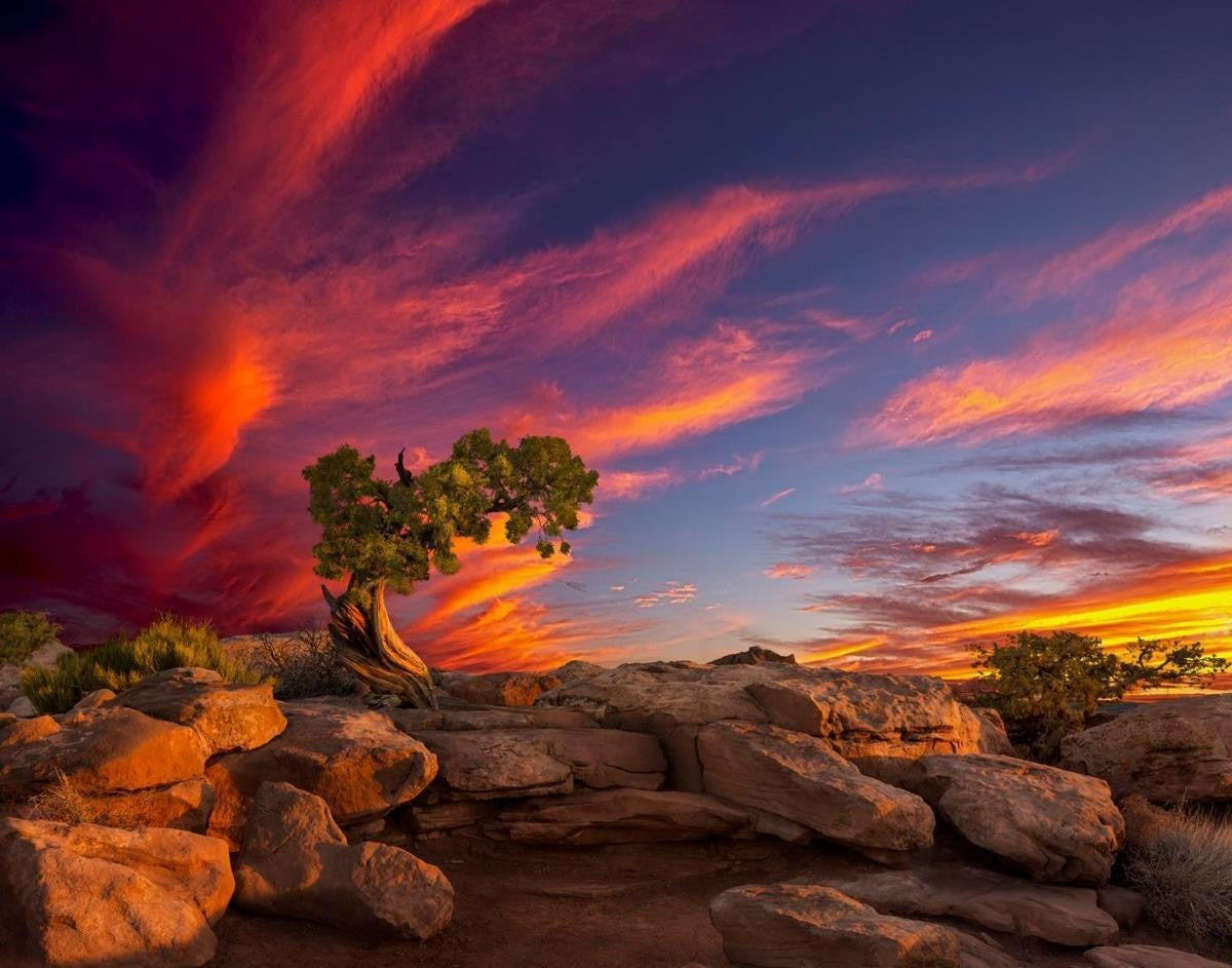 Moab Morning Gallery Wrap