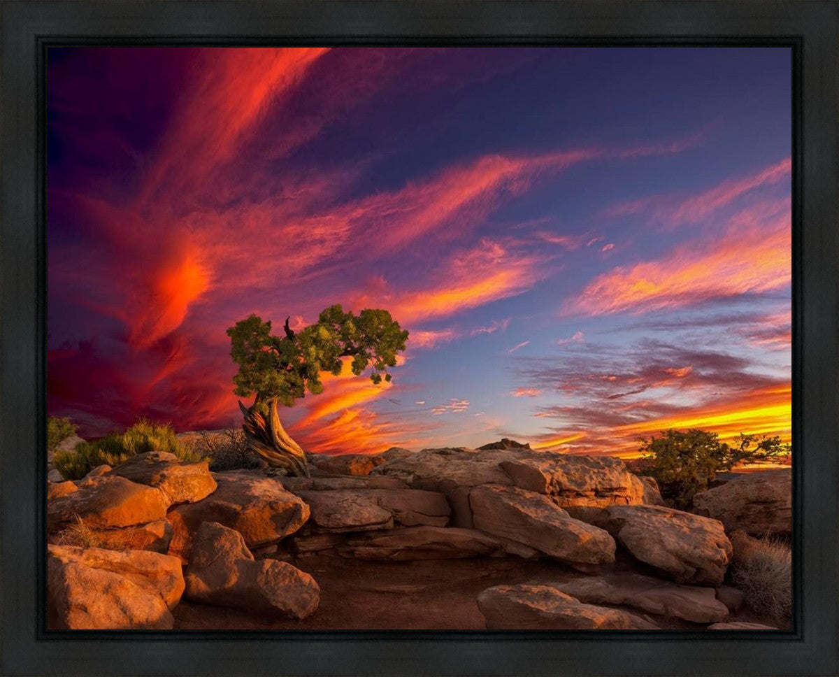 Moab Morning Gallery Wrap