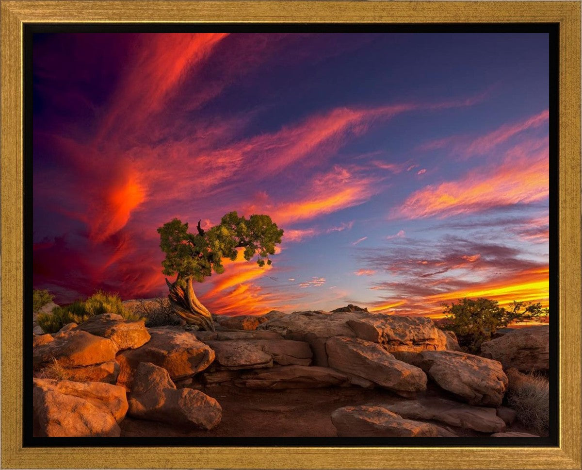 Moab Morning Gallery Wrap
