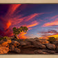Moab Morning