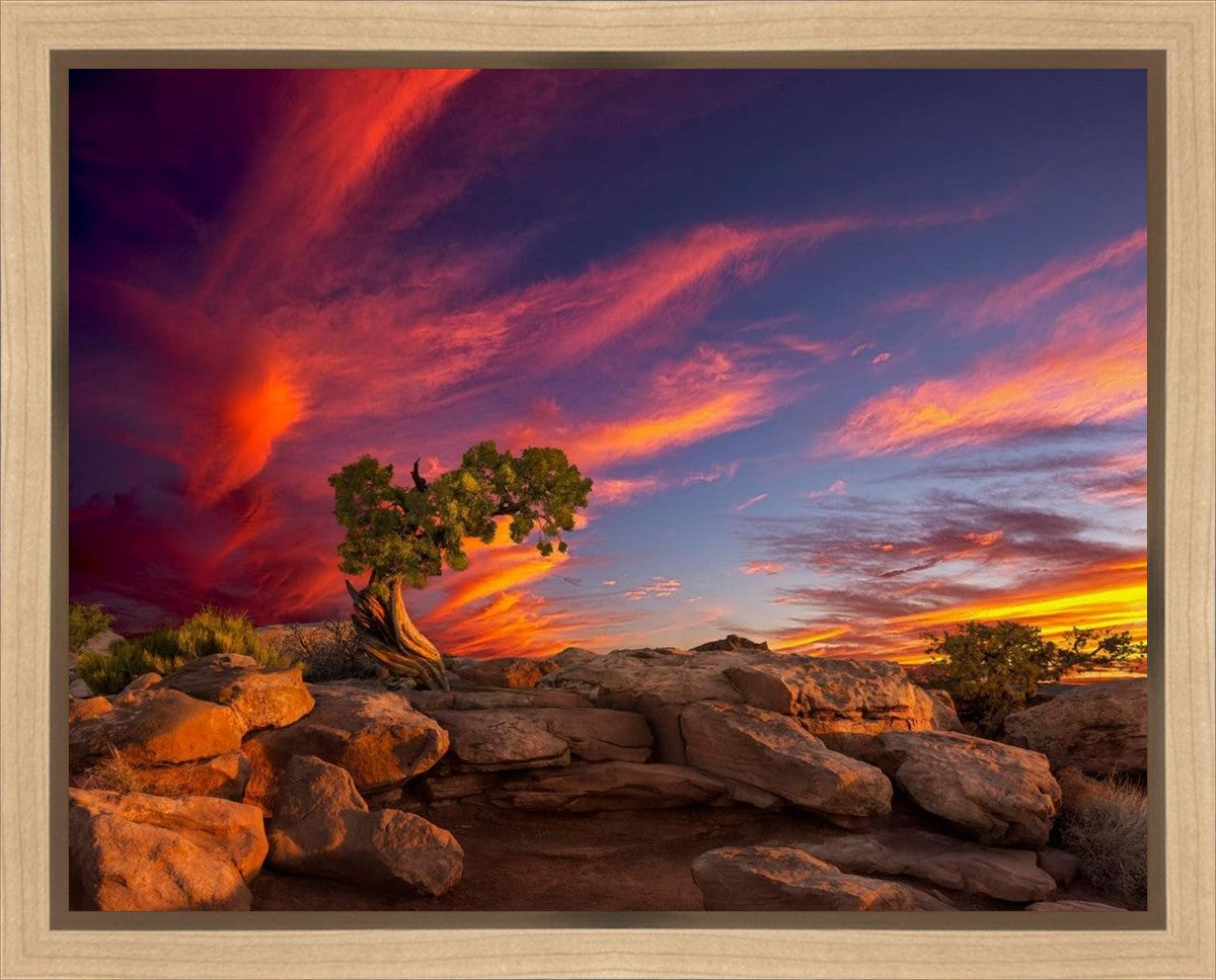 Moab Morning Gallery Wrap