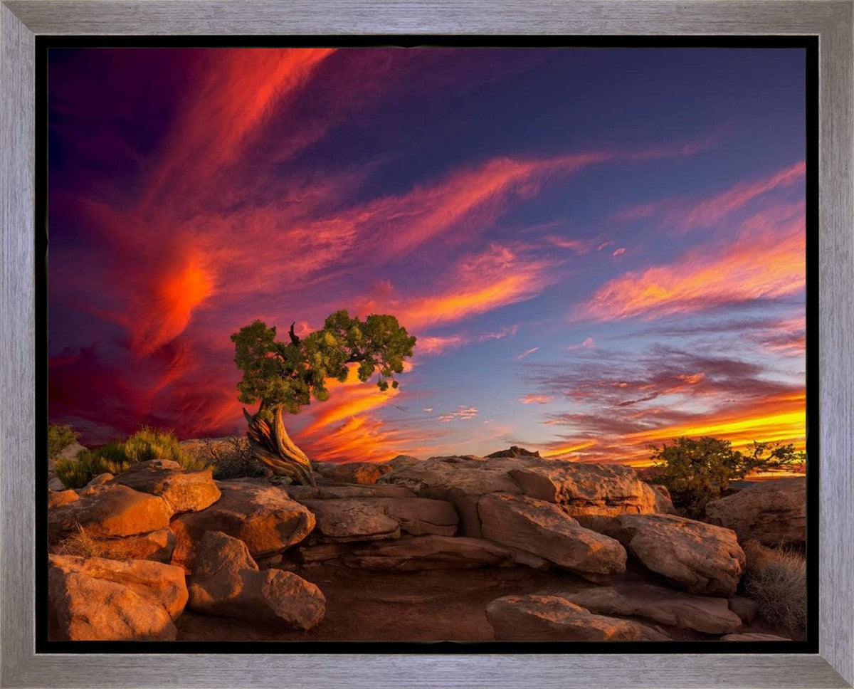 Moab Morning Gallery Wrap