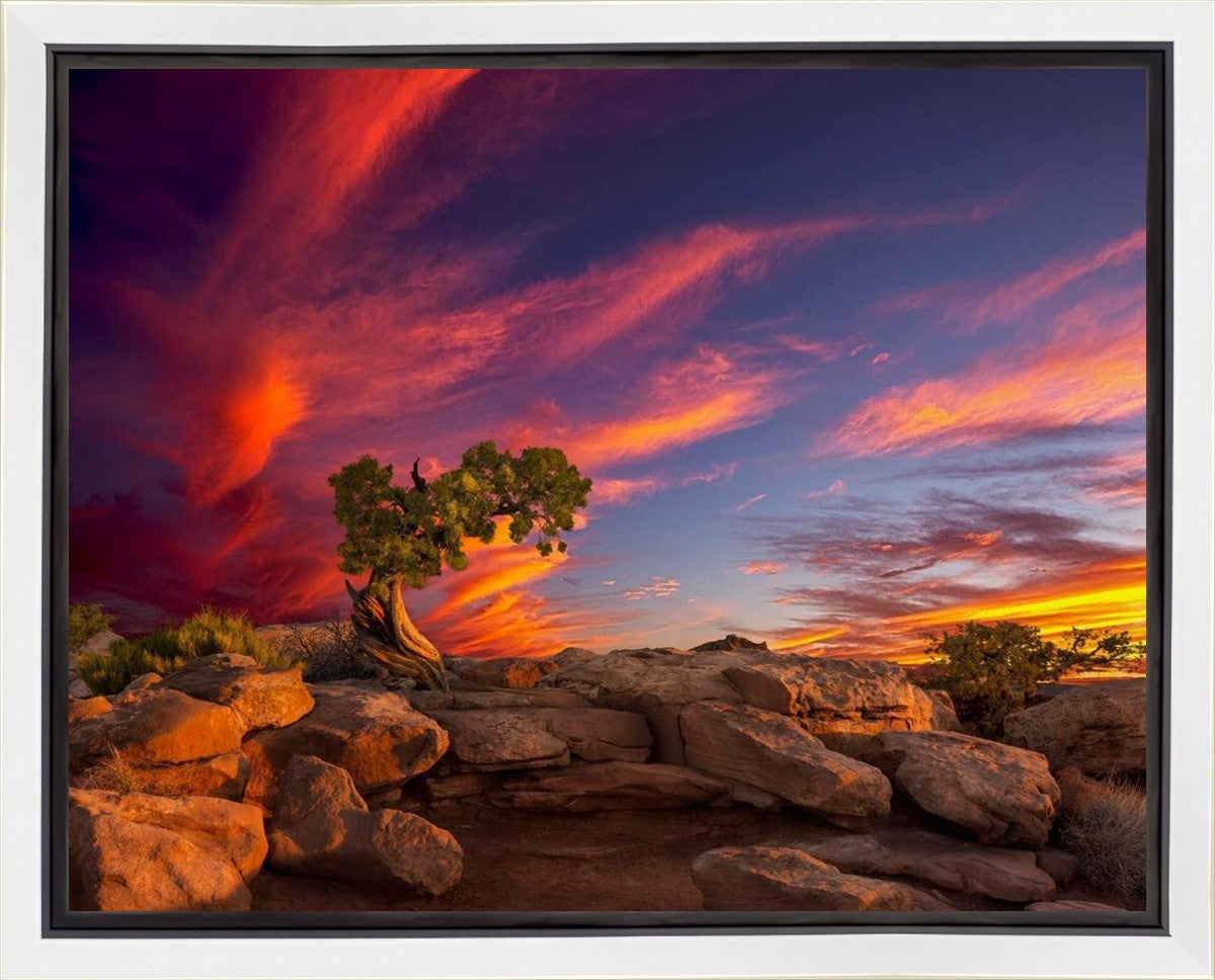 Moab Morning Gallery Wrap