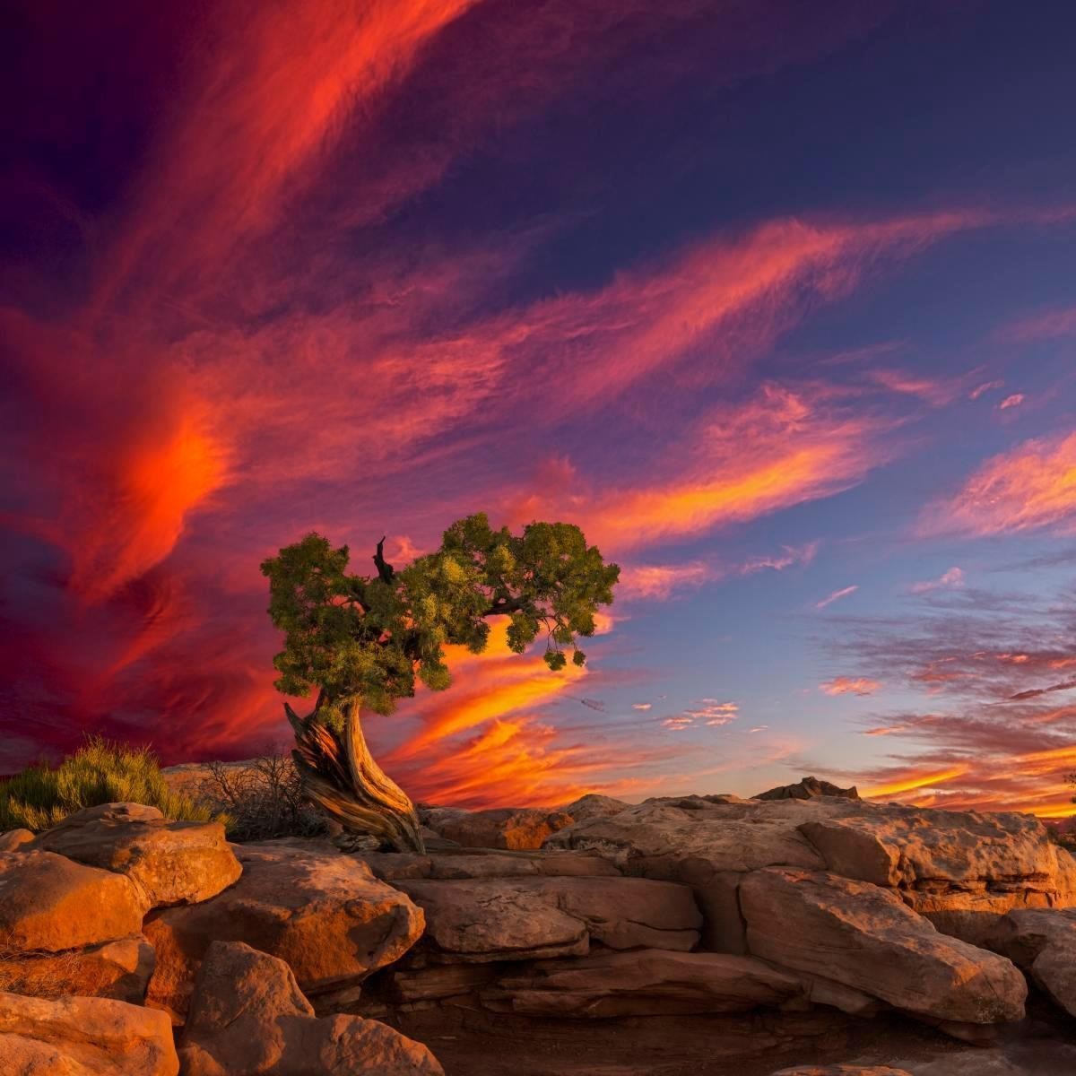 Moab Morning Gallery Wrap