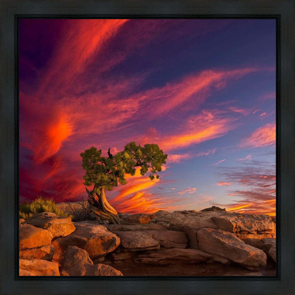 Moab Morning Gallery Wrap
