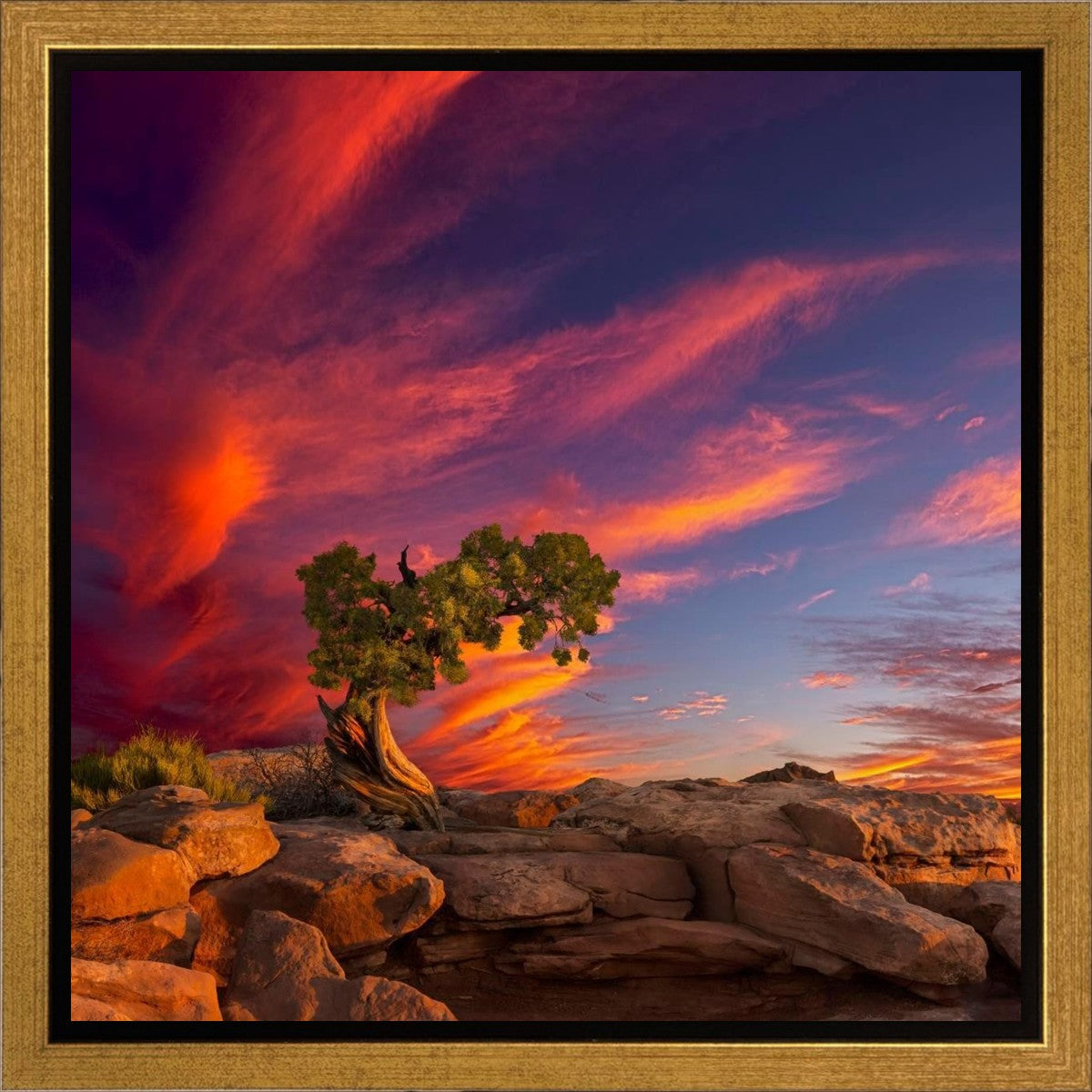 Moab Morning Gallery Wrap