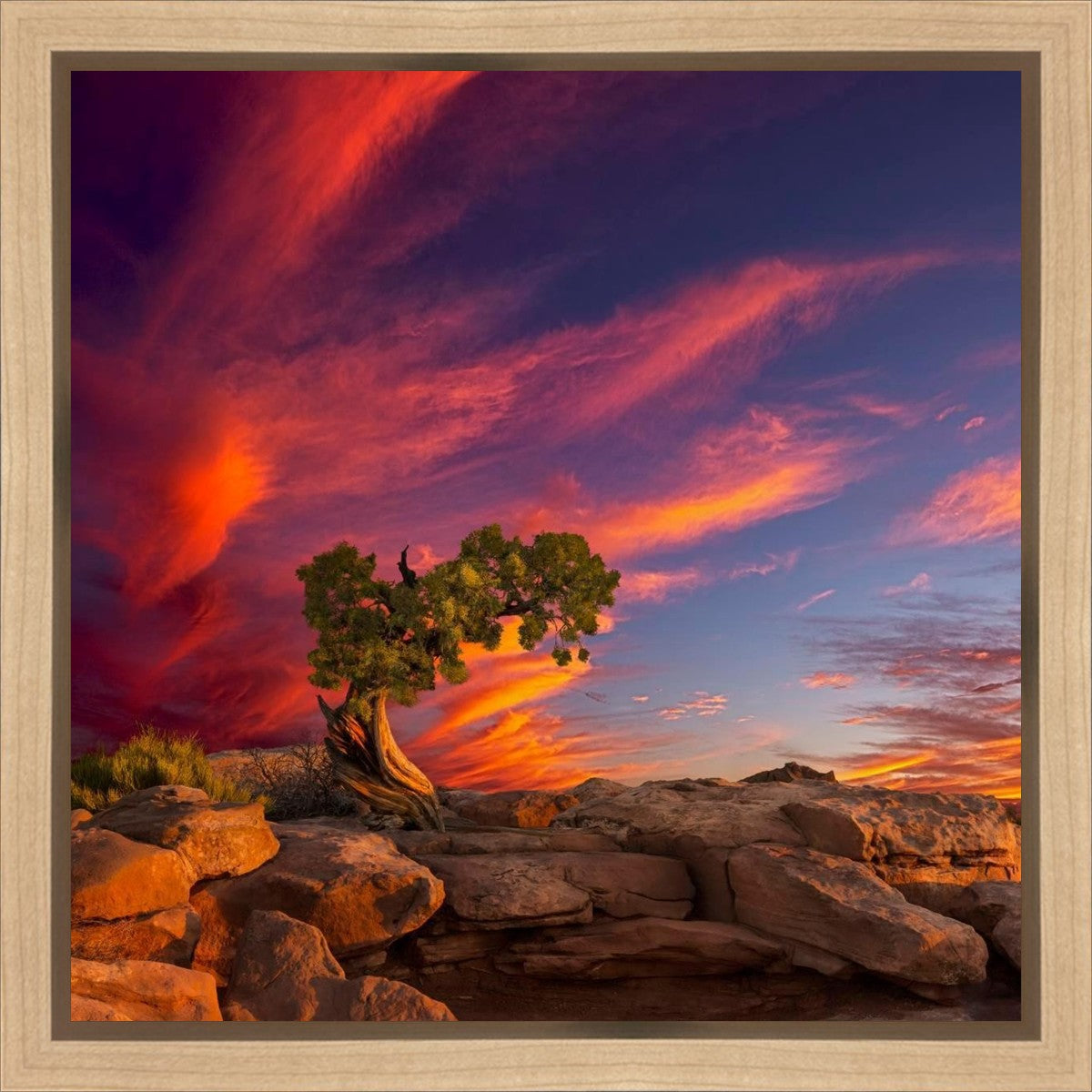 Moab Morning Gallery Wrap
