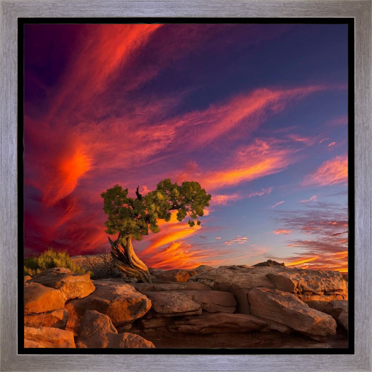Moab Morning Gallery Wrap