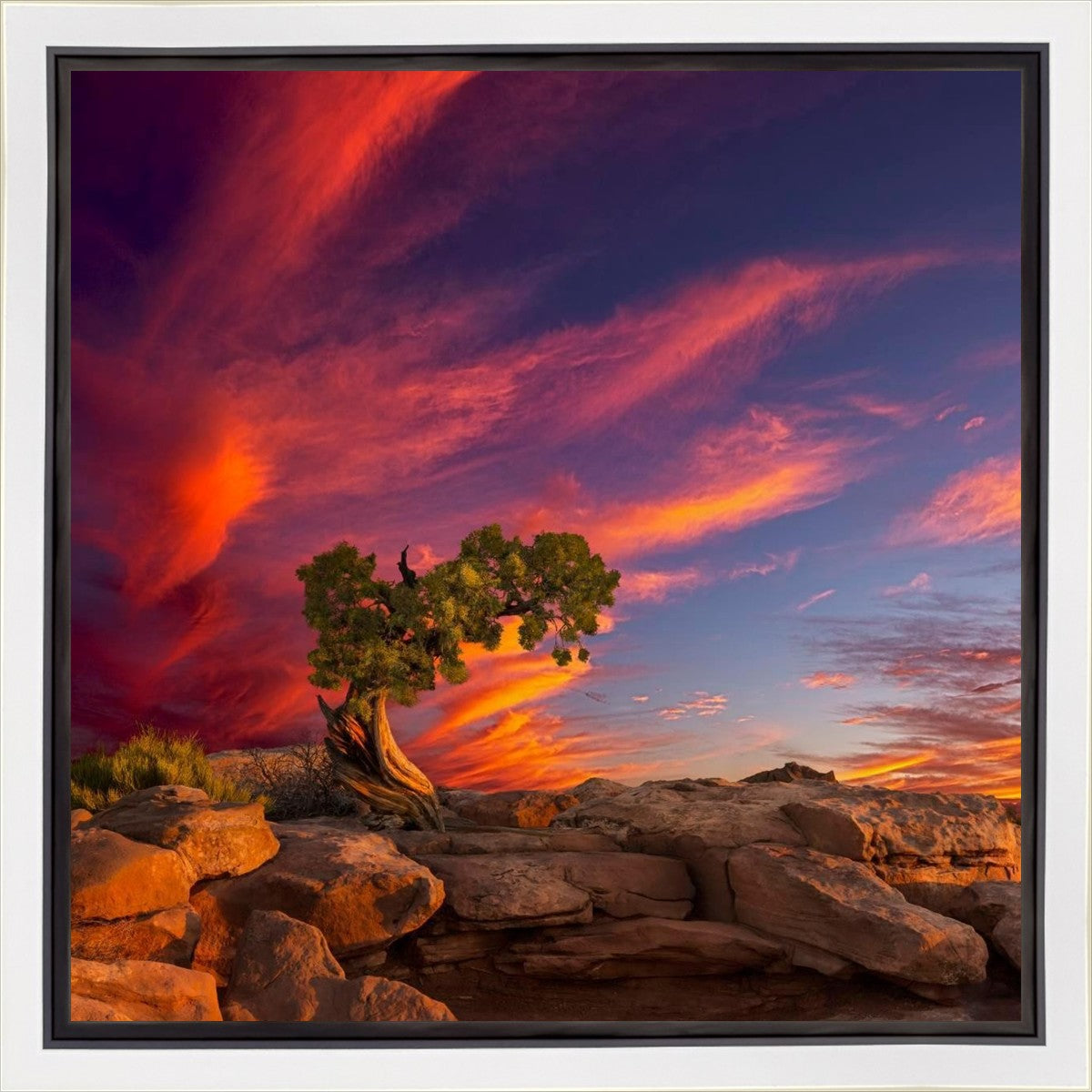 Moab Morning Gallery Wrap