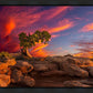 Moab Morning