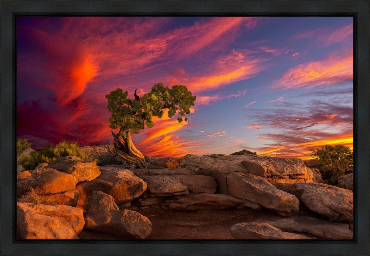 Moab Morning Gallery Wrap