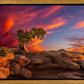 Moab Morning