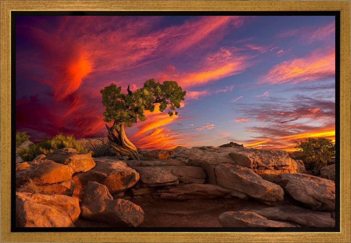 Moab Morning Gallery Wrap