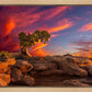 Moab Morning
