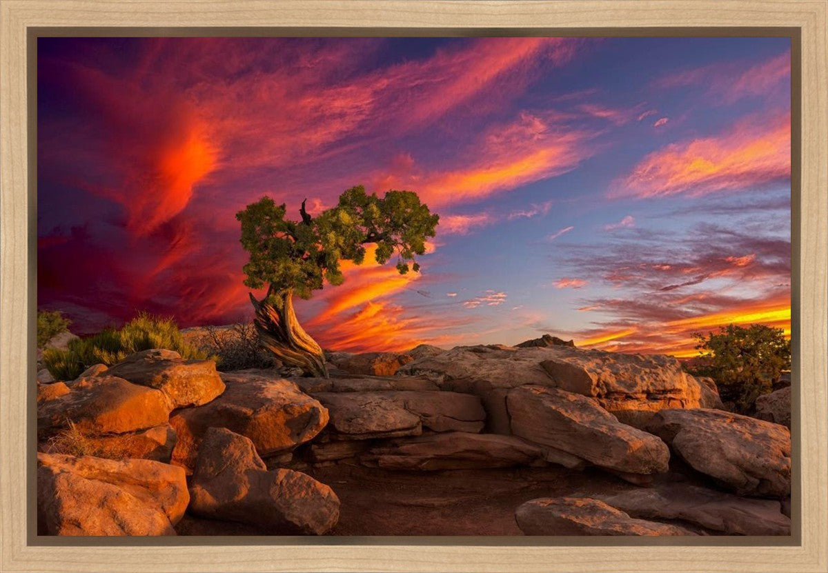 Moab Morning Gallery Wrap